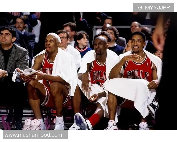 96公牛对阵魔术精彩录像回放分析全场精彩瞬间与战术解读